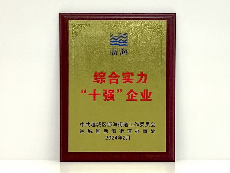 “綜合實(shí)力十強(qiáng)企業(yè)”.jpg
